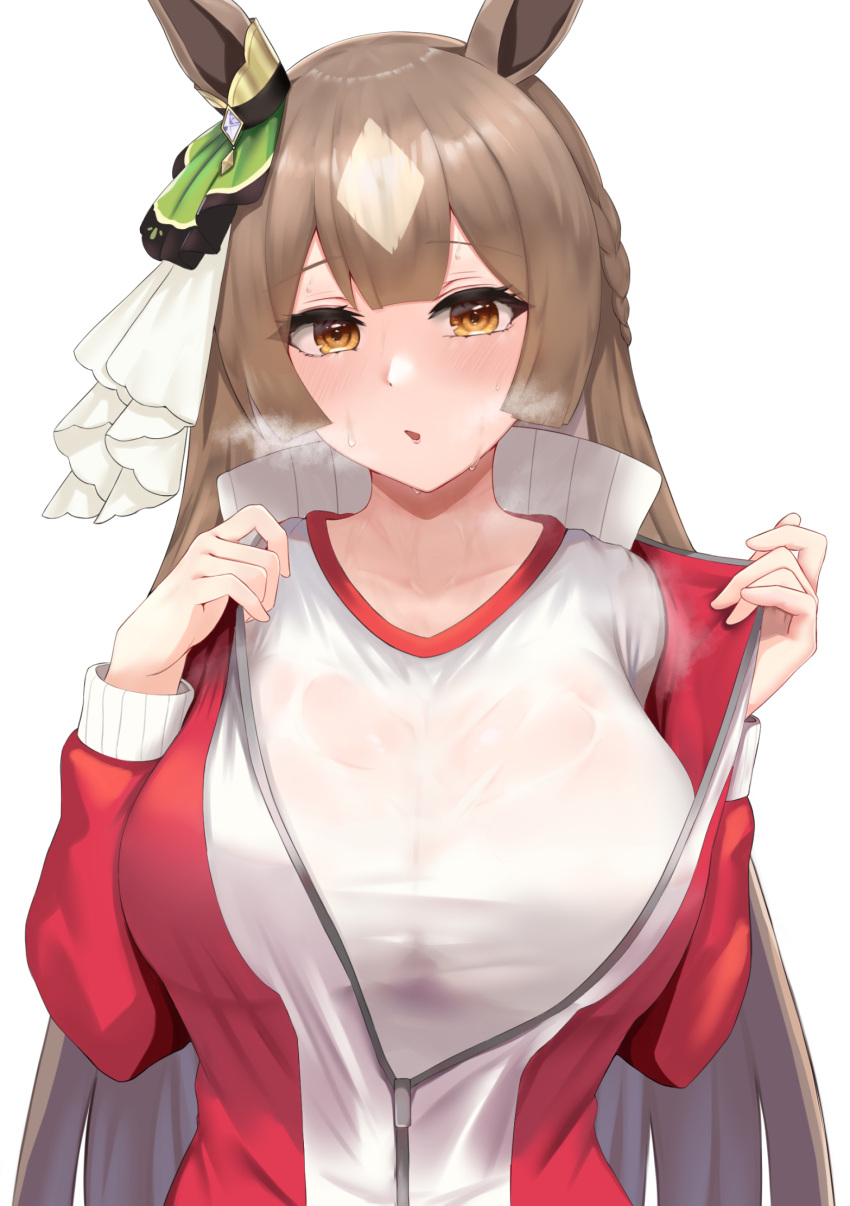 1girl, animal_ears, argyle, bangs, braid, breasts, brown_hair, commentary_request