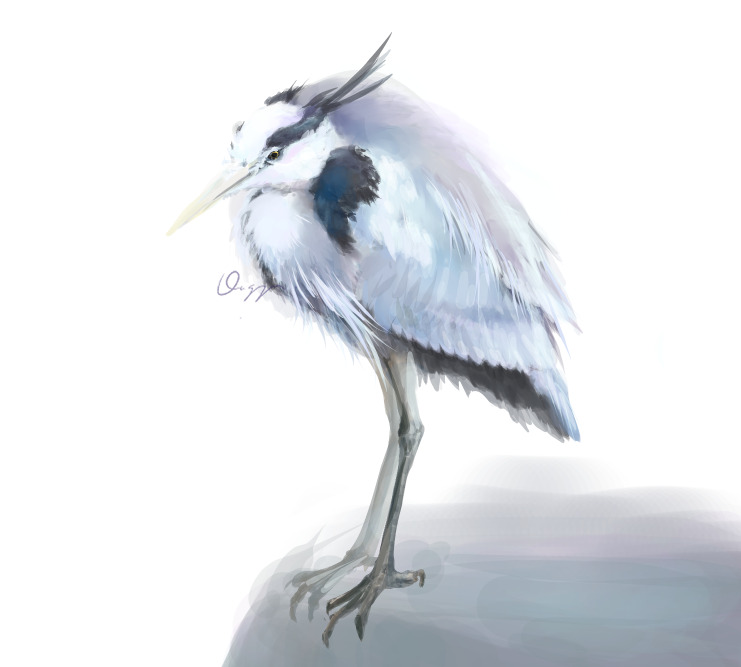 animal, animal_focus, bird, closed_mouth, commentary, grey_heron, no_humans, original