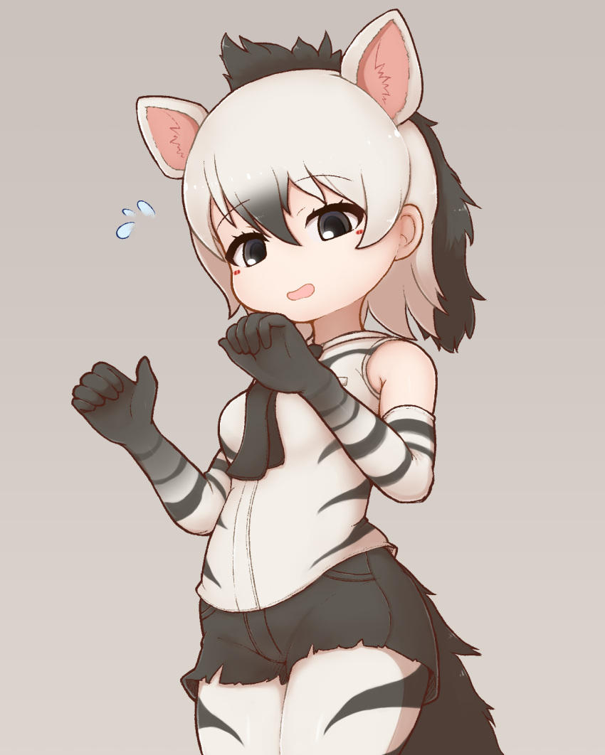 1girl, aardwolf_(kemono_friends), aticotta, black_gloves, black_hair, black_necktie, black_shorts, blush, elbow_gloves, eyebrows_visible_through_hair, flying_sweatdrops, gloves, gradient_hair, highres, kemono_friends, looking_at_viewer, multicolored_clothes, multicolored_gloves, multicolored_hair, necktie, pantyhose, parted_lips, shiny, shiny_clothes, shiny_legwear, short_hair, short_ponytail, short_shorts, shorts, solo, white_gloves, white_hair, white_legwear
