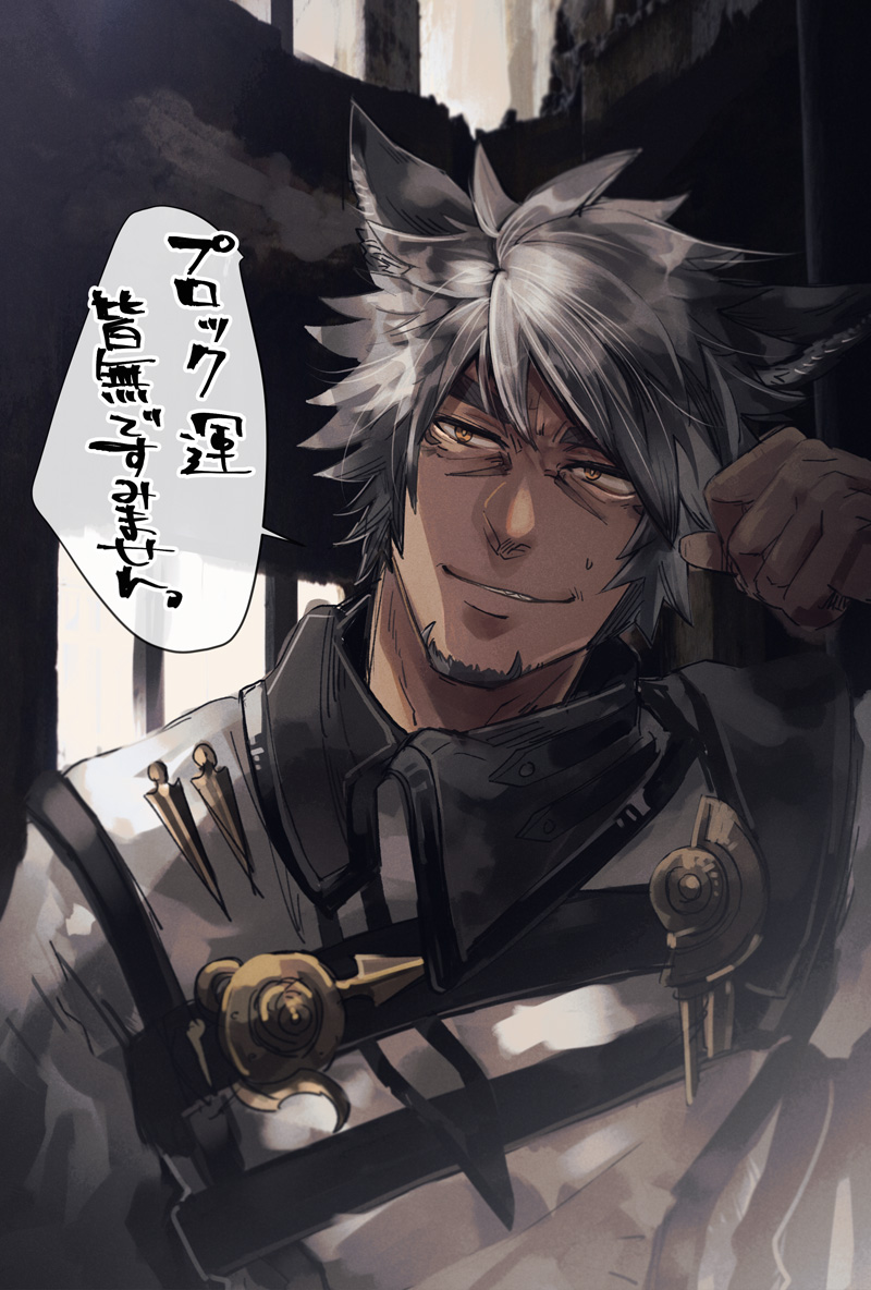 1boy, animal_ear_fluff, animal_ears, avatar_(ff14), bangs, cat_ears, facial_hair, facial_mark
