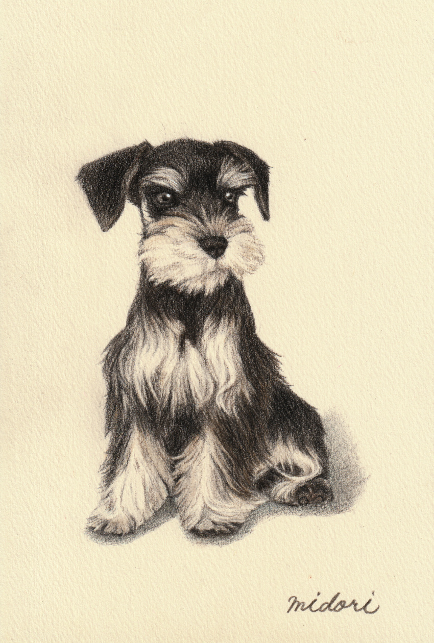 animal, animal_focus, closed_mouth, colored_pencil_(medium), commentary_request, dog, grey_eyes, highres