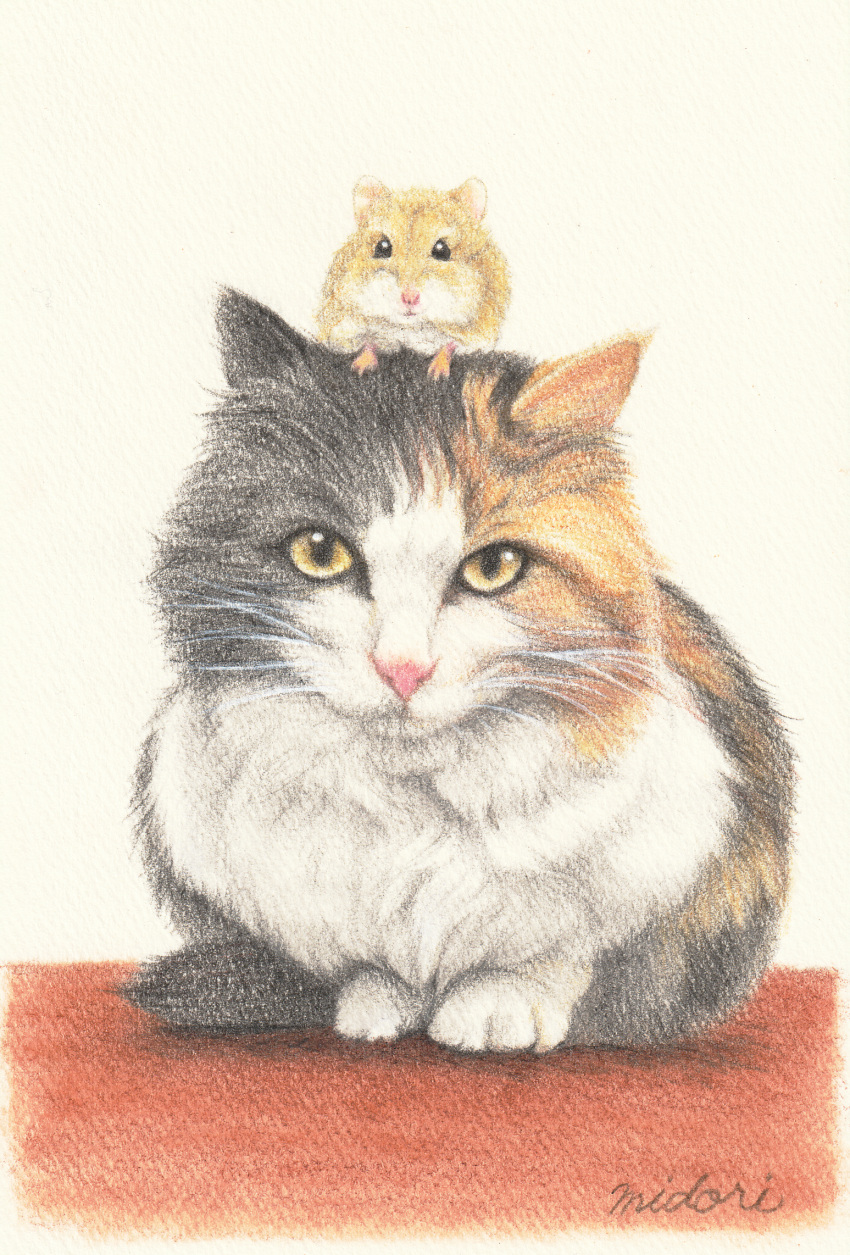 animal, animal_focus, calico, cat, closed_mouth, colored_pencil_(medium), commentary, hamster, highres, looking_at_viewer, midori_(user_rfup2354), no_humans, original, pastel_(medium), signature, sitting, traditional_media, white_background, yellow_eyes