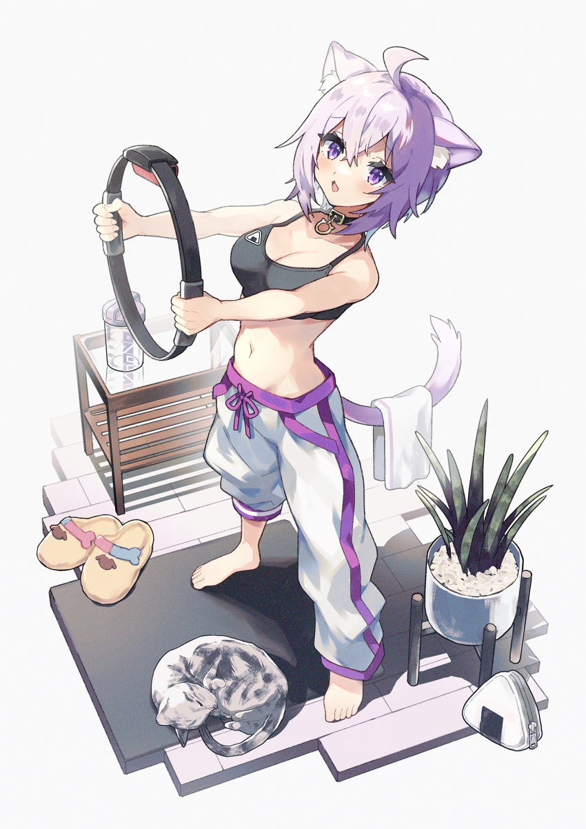 1girl, ahoge, animal_ear_fluff, animal_ears, bag, bangs, barefoot, black_choker