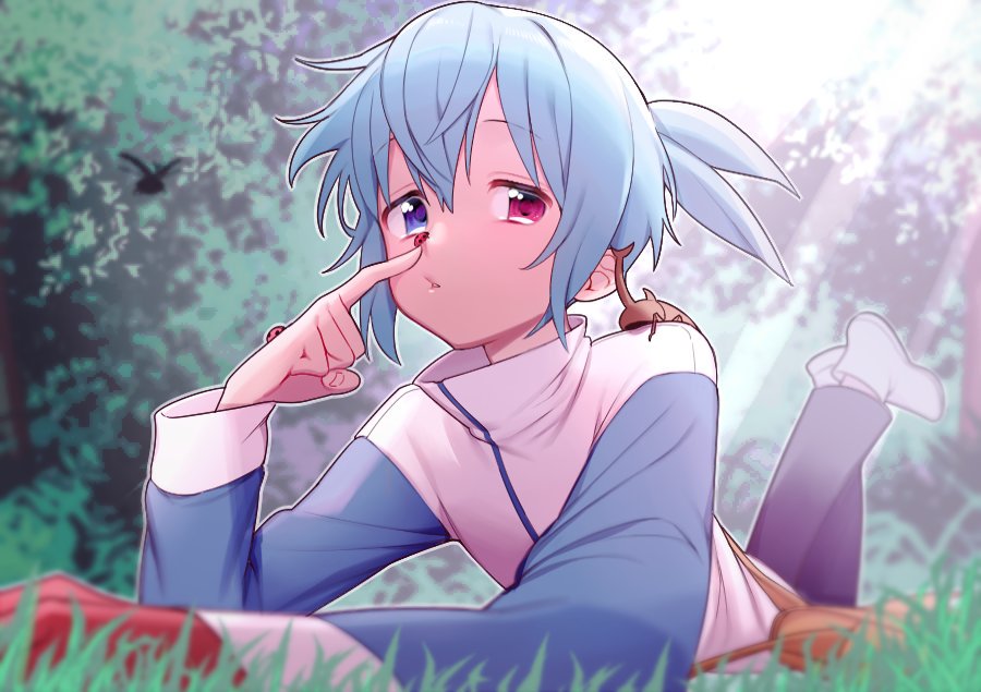 1boy, bangs, beetle, blue_hair, bug, day, grass, heterochromia