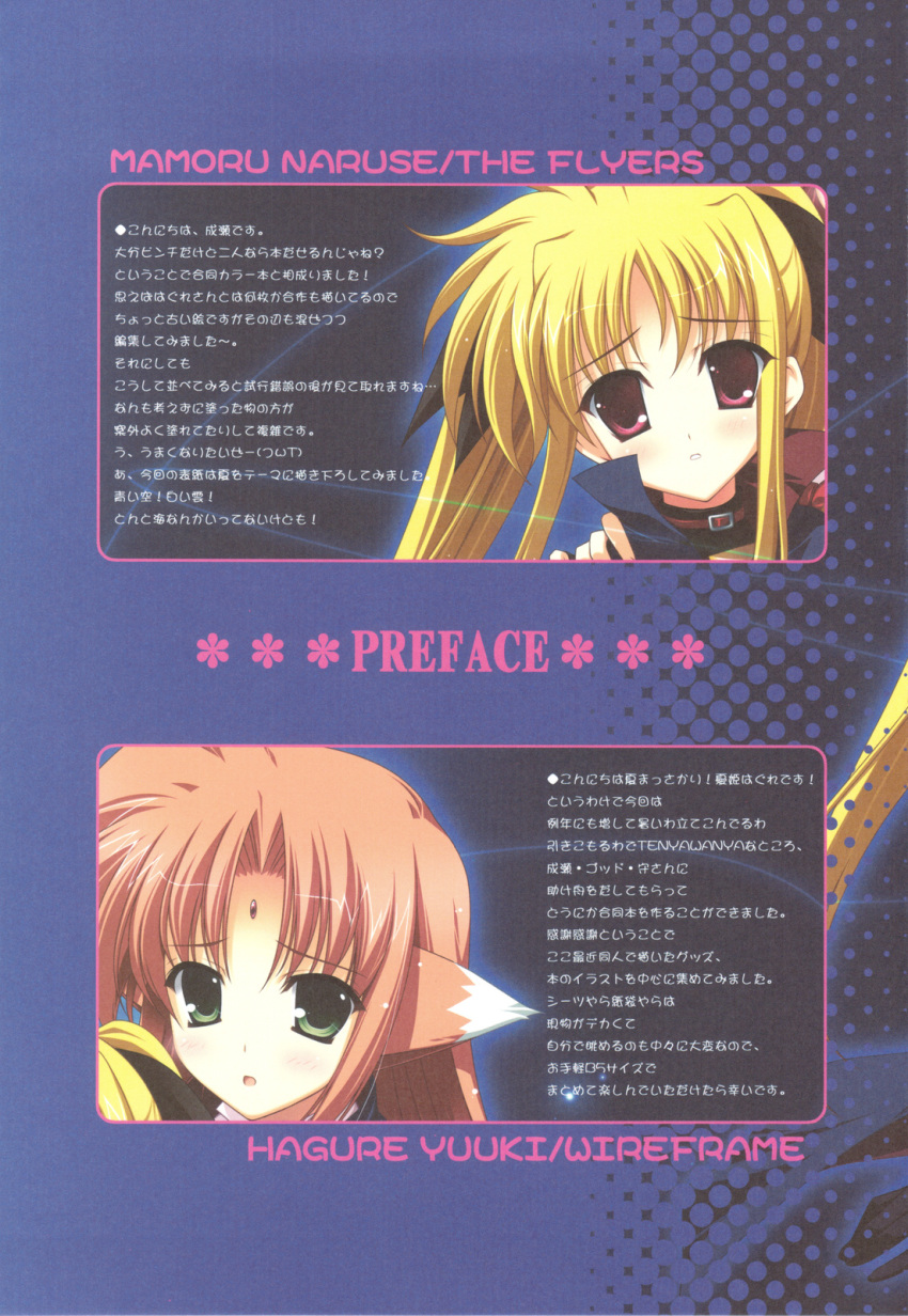 arf, fate_testarossa, mahou_shoujo_lyrical_nanoha, naruse_mamoru, the_flyers, wireframe, yuuki_hagure