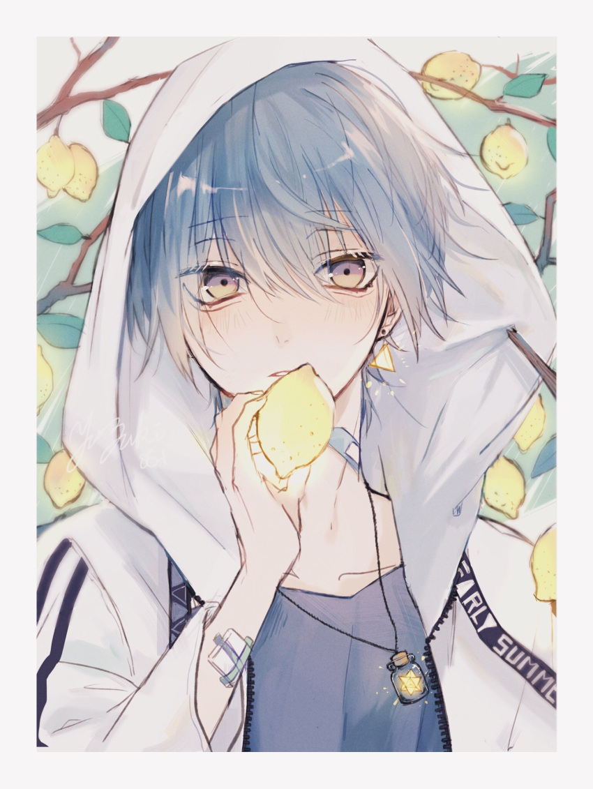 1boy, bandaid, blue_hair, duplicate, earrings, food, fruit, fruit_tree, highres, hood, hood_up, hoodie, jewelry, lemon, looking_at_viewer, male_focus, multicolored_eyes, myuhuaki, necklace, original, pale_skin, pixel-perfect_duplicate, plant, solo, stud_earrings, tree, violet_eyes, yellow_eyes
