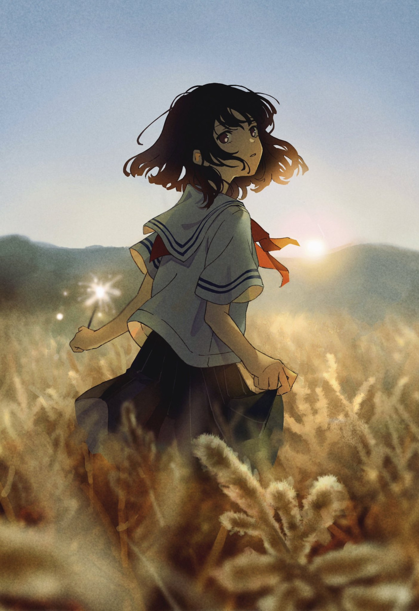 1girl, black_skirt, blurry, blurry_background, blurry_foreground, brown_eyes, brown_hair, commentary