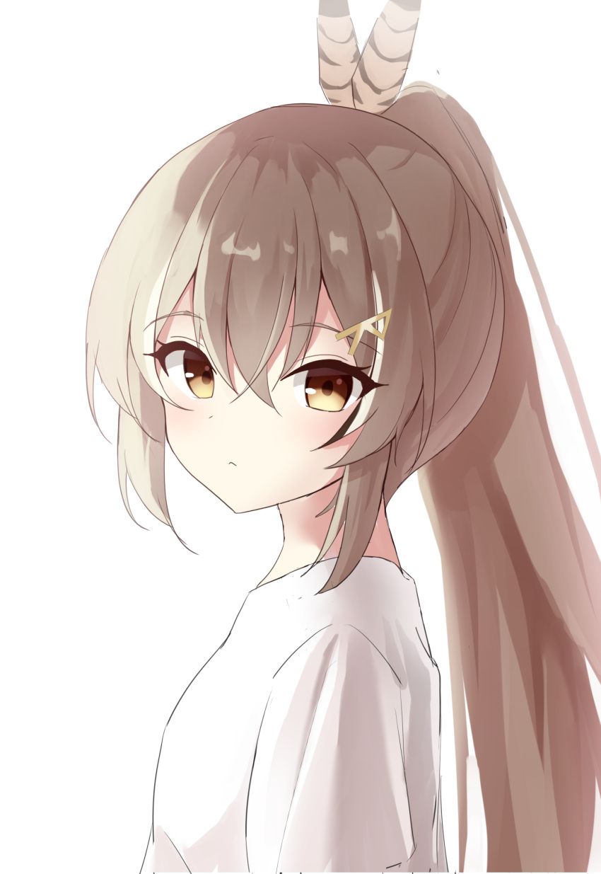 1girl, bangs, blush, brown_eyes, brown_hair, closed_mouth, feathers, hair_ornament