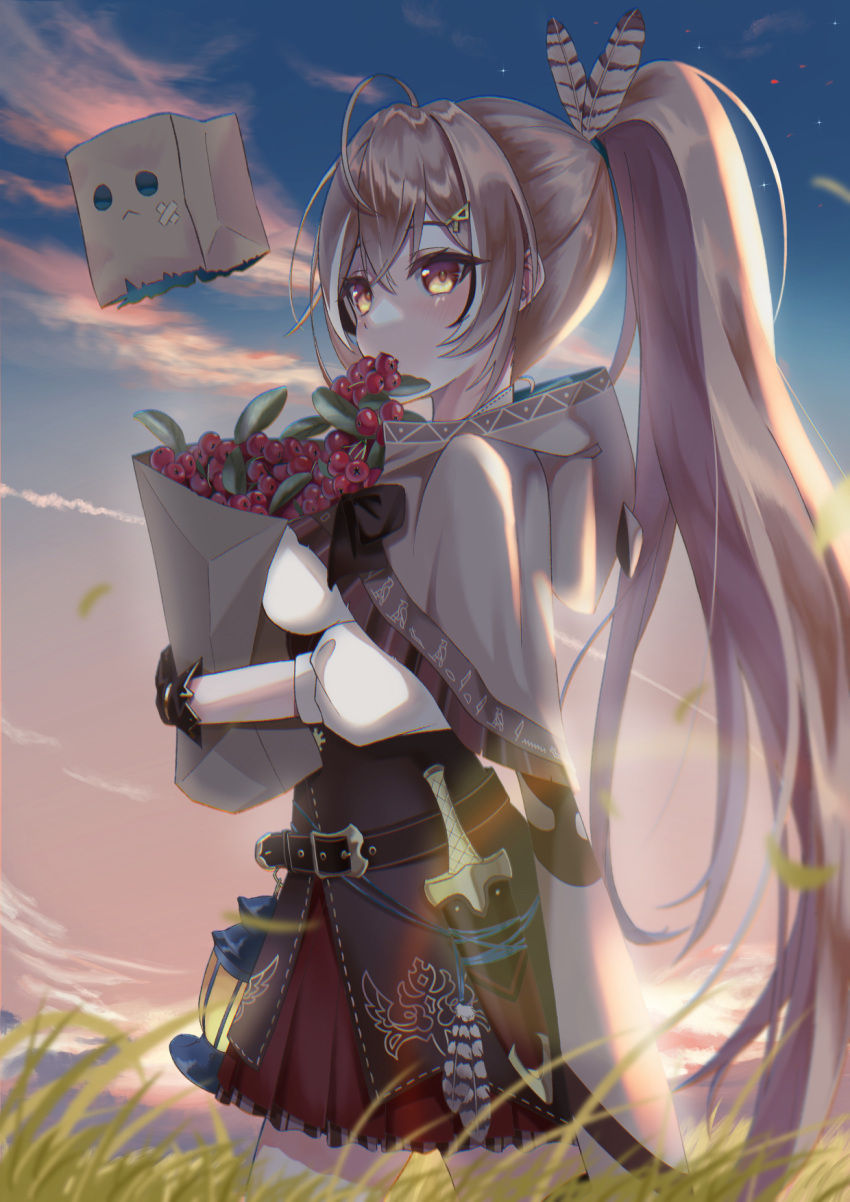 1girl, ahoge, bag, bangs, belt, berry, blush, brown_capelet