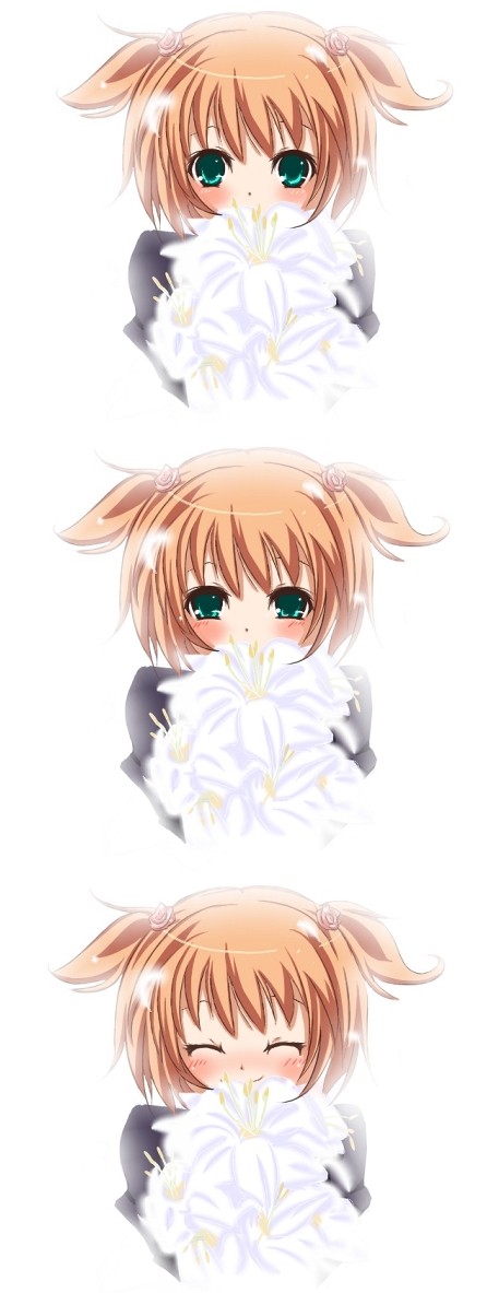 flower, green_eyes, nekomimi, seikon_no_qwaser, smile, teresa_beria, young
