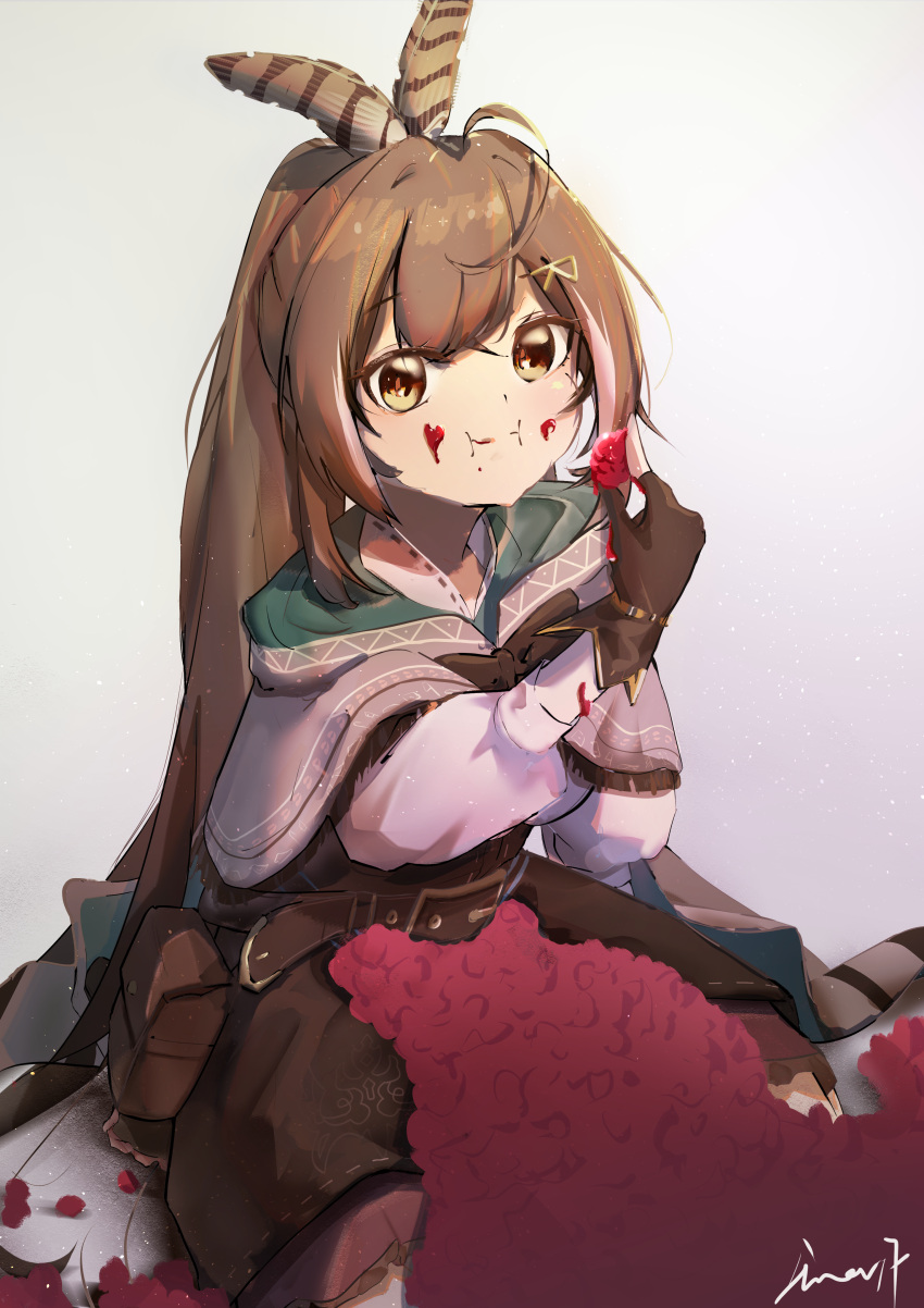 1girl, absurdres, ahoge, bangs, belt, berry, brown_capelet, brown_cloak