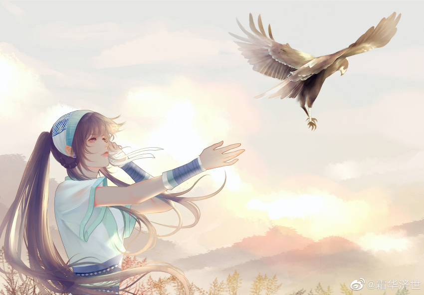 1girl, armband, bird, chinese_clothes, clouds, cloudy_sky, duanmu_rong_(qin_shi_ming_yue), earrings