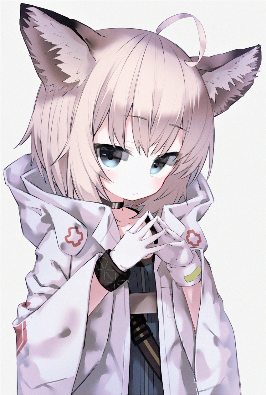 1girl, ahoge, animal_ears, arknights, black_choker, black_wristband, blue_eyes, blue_shirt