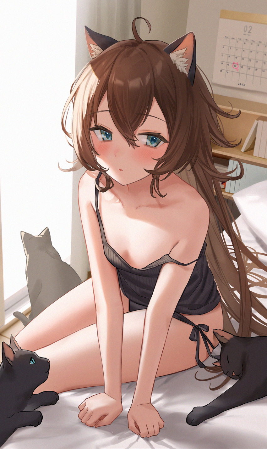 1girl, ahoge, animal, animal_ear_fluff, animal_ears, arm_support, bangs, black_cat