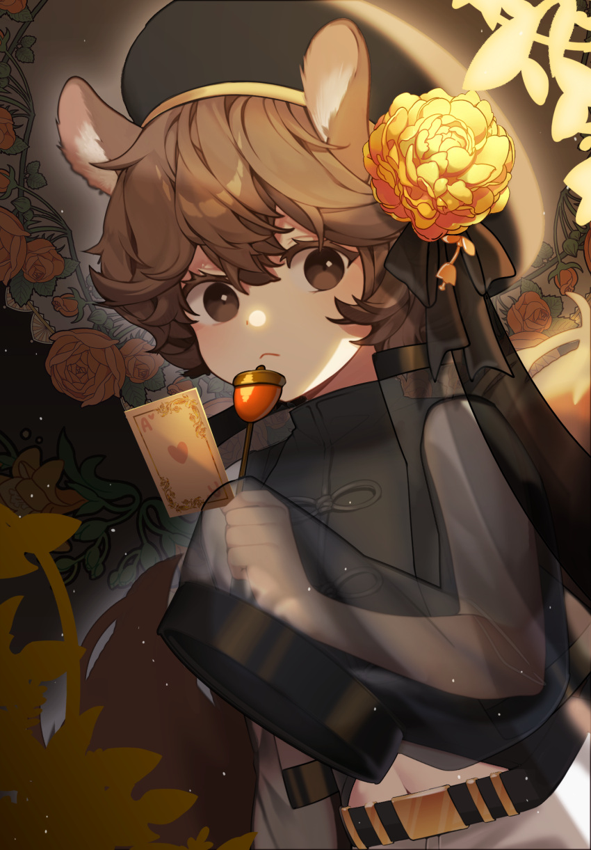 1girl, :<, ace_of_hearts, acorn, ambience_synesthesia, animal_ears, arknights, black_bow