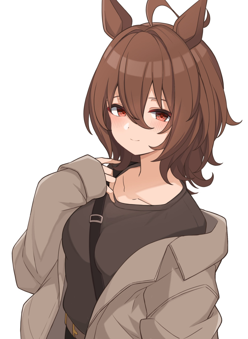 1girl, absurdres, agnes_tachyon_(umamusume), ahoge, animal_ears, bangs, belt, between_breasts, blush, breasts, brown_coat, brown_hair, brown_shirt, closed_mouth, coat, collarbone, food, fruit, hair_between_eyes, hand_up, highres, horse_ears, looking_at_viewer, medium_breasts, medium_hair, naga_furo_imoni, off_shoulder, orange_(fruit), shirt, simple_background, sleeves_past_wrists, smile, solo, strap_between_breasts, umamusume, upper_body, white_background