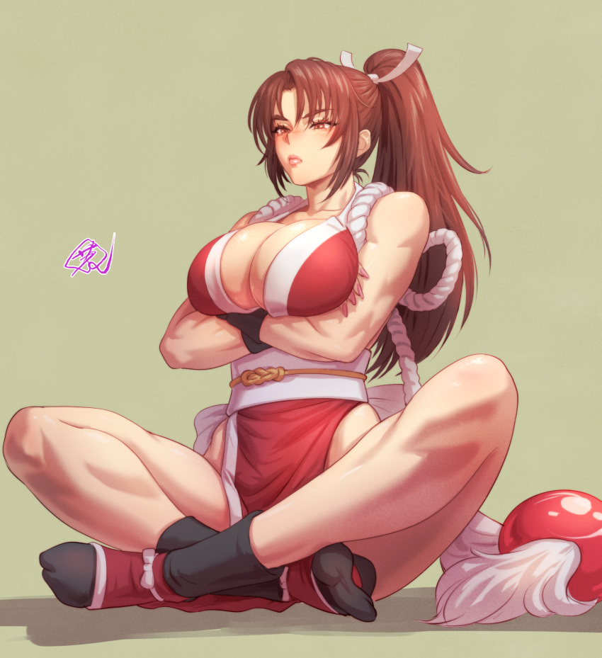 1girl, black_legwear, breasts, brown_eyes, brown_hair, fatal_fury, fujii_eishun, hair_ornament