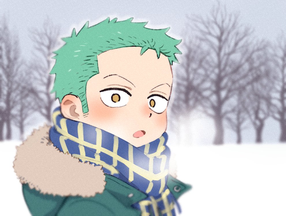 1boy, fur_trim, green_hair, male_focus, one_piece, outdoors, parted_lips, roronoa_zoro