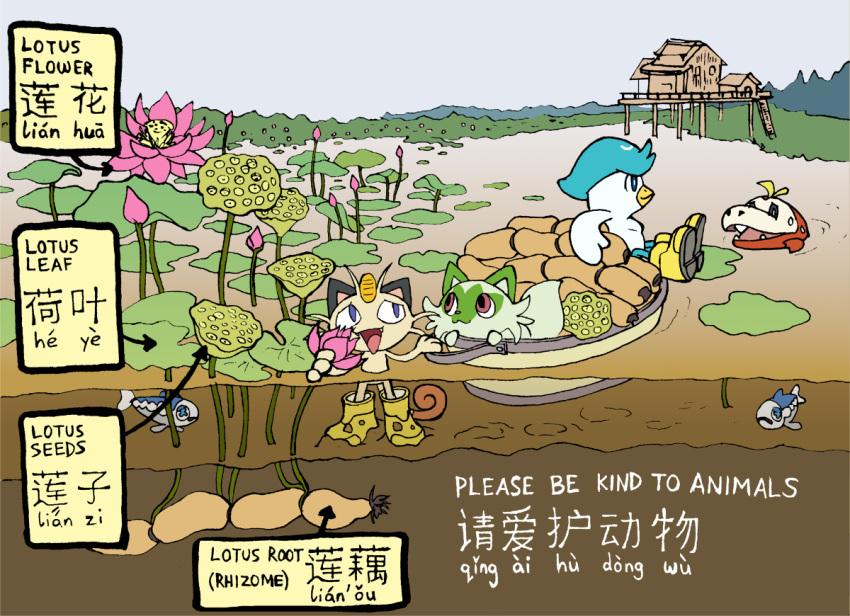 black_eyes, blue_eyes, boat, cat, chinese_text, coin, crocodile, duck, flower, fuecoco, holding_flower, house, ksmaggie, landscape, lotus, lotus_flower, lotus_root, no_humans, open_mouth, pokemon, pokemon_(creature), quaxly, red_eyes, sprigatito, submerged, sweat, translated, wetland, wishiwashi, wishiwashi_(solo), yellow_boots