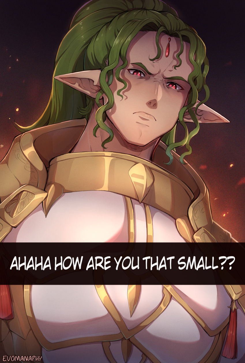 1boy, absurdres, duma_(fire_emblem), evomanaphy, fire_emblem, fire_emblem_heroes, frown, green_hair, highres, how_are_you_that_small_(meme), long_hair, looking_at_viewer, looking_down, meme, pointy_ears, ponytail, red_eyes, slit_pupils, white_armor