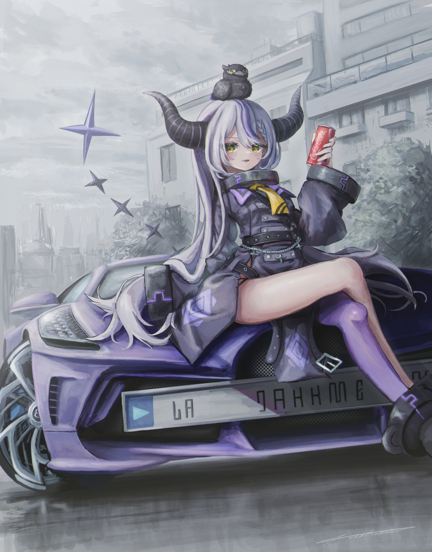 1girl, absurdres, animal_on_head, bird, bird_on_head, black_jacket, bugatti, bugatti_divo