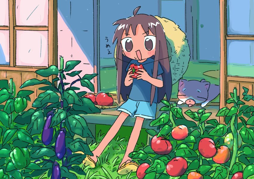 1girl, 1nupool, :d, ahoge, animal, bangs, bell_pepper, bell_pepper_plant