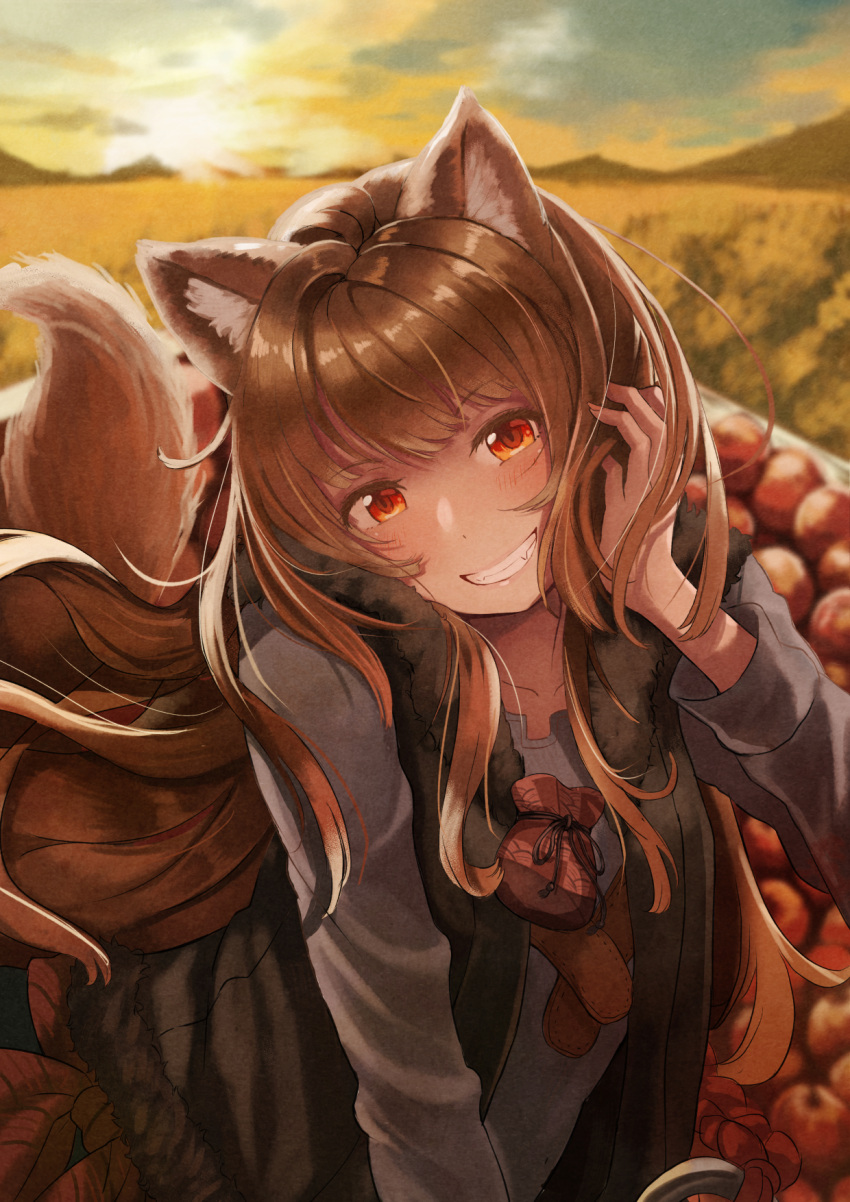 159cm, 1girl, animal_ear_fluff, animal_ears, apple, bangs, black_vest, blurry