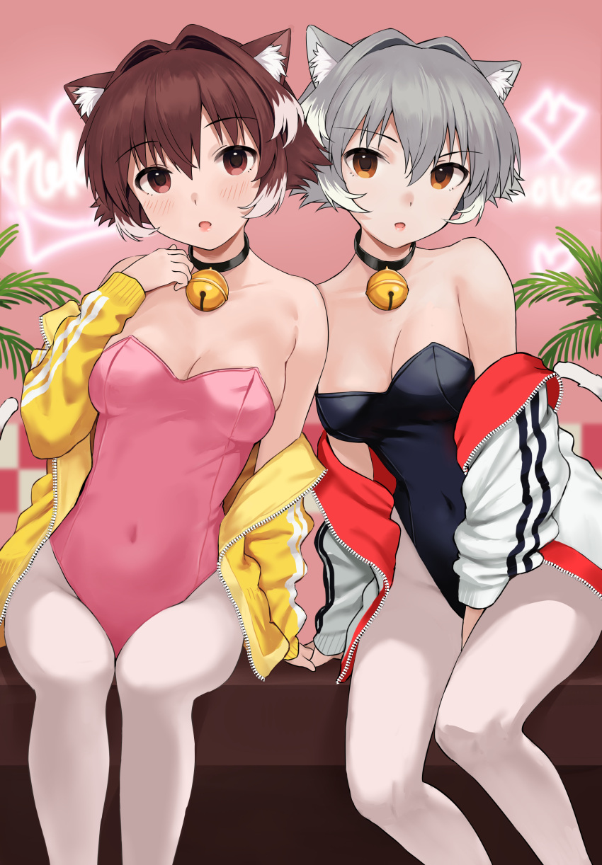 2girls, absurdres, animal_ear_fluff, animal_ears, bell, black_leotard, breasts, brown_eyes, brown_hair, cat_ears, covered_navel, feet_out_of_frame, grey_hair, hair_intakes, highres, jacket, jingle_bell, kirarin369, kittysuit, leotard, looking_at_viewer, medium_breasts, multiple_girls, nontraditional_playboy_bunny, orange_eyes, original, pantyhose, pink_leotard, short_hair, sitting, strapless, strapless_leotard, white_jacket, white_legwear, yellow_jacket