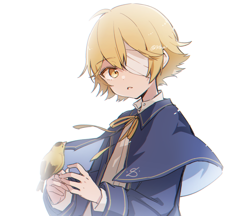 1boy, bandage_over_one_eye, bird, bird_on_hand, blonde_hair, bloom, blue_capelet, blue_jacket