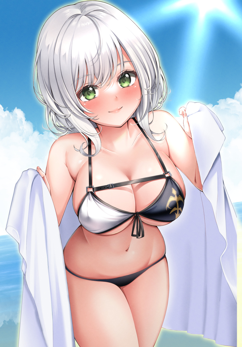 1girl, absurdres, bangs, beach, bikini, blue_sky, blush, breasts