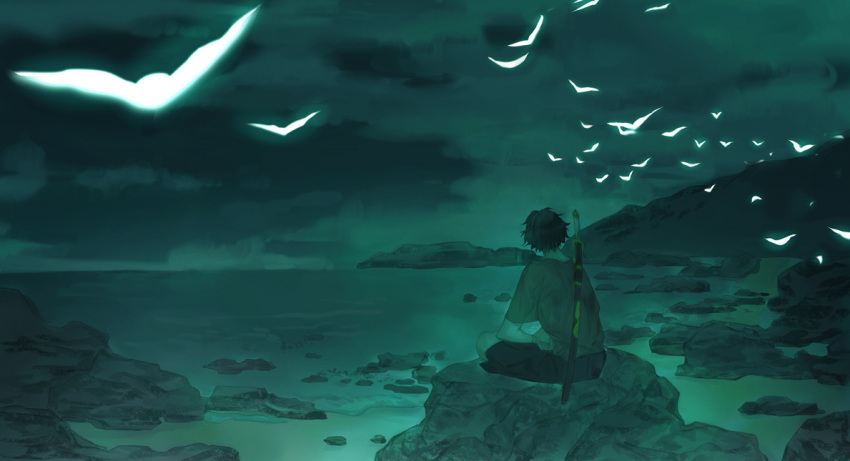 1boy, bird, black_hair, black_shorts, boulder, bug, butterfly, clouds