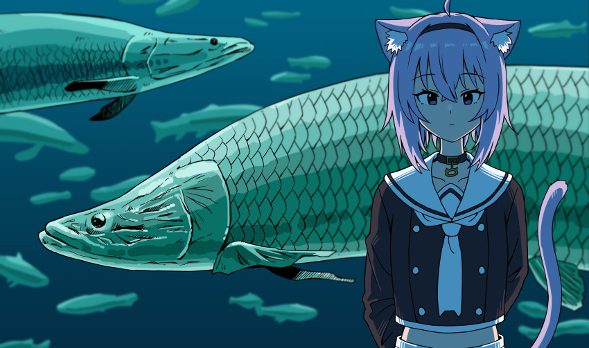 1girl, absurdres, ahoge, animal_ear_fluff, animal_ears, animal_request, aquarium, arapaima