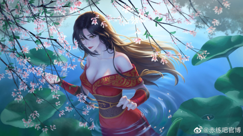 bare_shoulders, black_hair, branch, chi_lian_(qin_shi_ming_yue), chi_lian_qiju_zhu, dress, highres, in_water