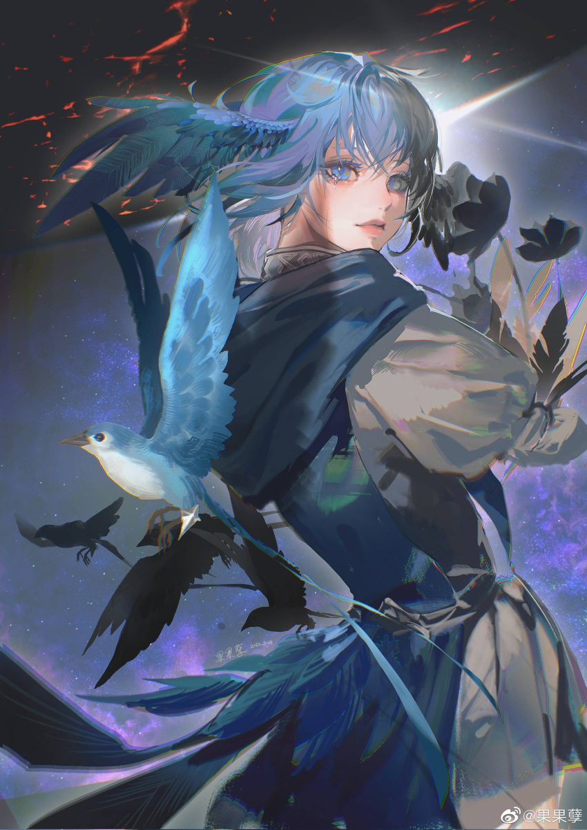 1girl, bangs, bird, bird_girl, bird_tail, bird_wings, black_flower, blue_eyes