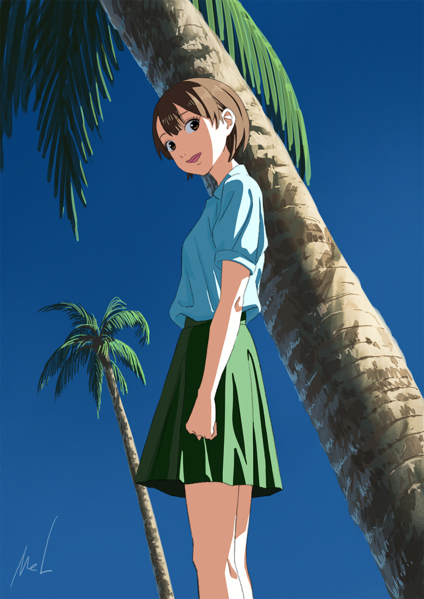 1girl, arm_at_side, blue_sky, brown_eyes, brown_hair, green_skirt, highres, looking_at_viewer