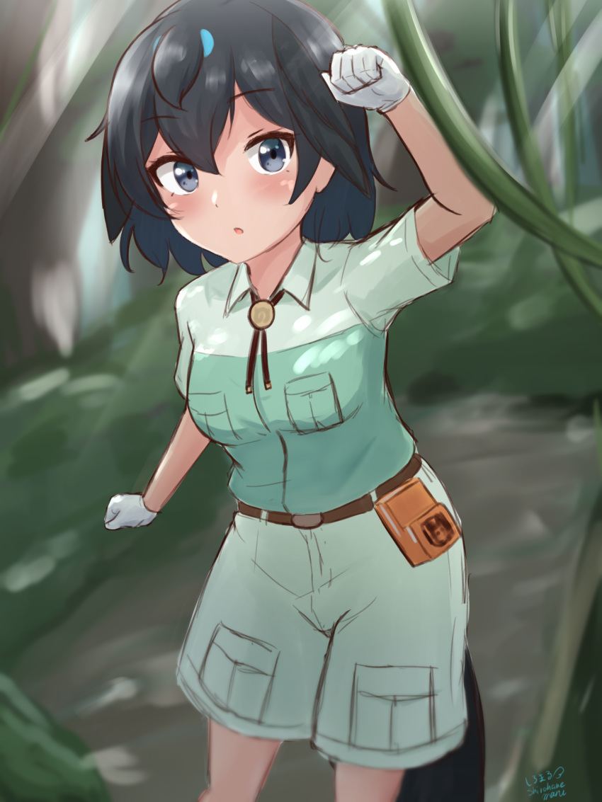 1girl, absurdres, arm_up, bangs, belt_pouch, black_eyes, black_hair, breast_pocket, breasts, captain_(kemono_friends), captain_(kemono_friends)_(cosplay), commentary, cosplay, day, eyebrows_visible_through_hair, hair_between_eyes, head_wings, highres, jungle, kemono_friends, medium_breasts, medium_hair, nature, open_mouth, outdoors, pocket, pouch, shiraha_maru, shirt, short_sleeves, shorts, sketch, solo, superb_bird-of-paradise_(kemono_friends), velt, white_shirt
