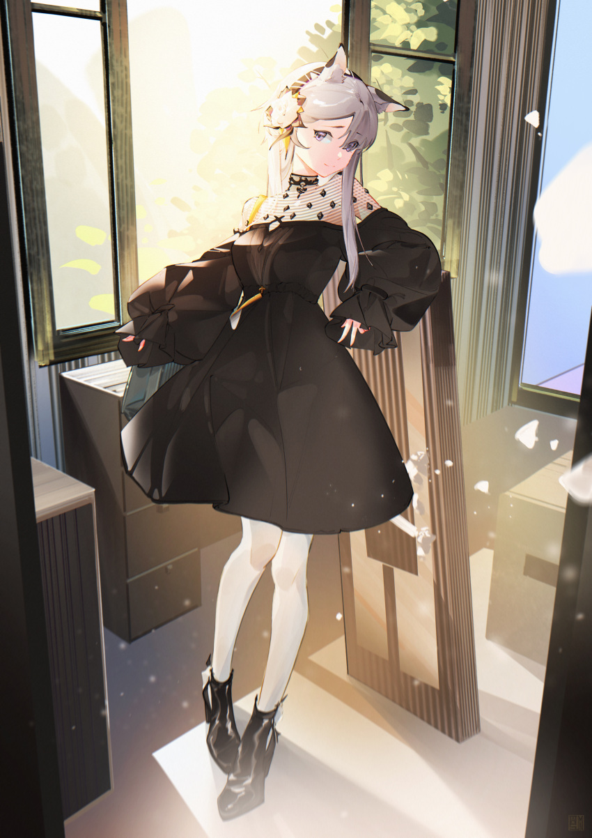 1girl, absurdres, animal_ears, arknights, bangs, black_dress, black_footwear, cic_tatsumi, commentary, dress, eyebrows_visible_through_hair, full_body, grey_eyes, hairband, heavyrain_(arknights), heavyrain_(tranquil_moss)_(arknights), highres, indoors, long_hair, long_sleeves, looking_at_viewer, official_alternate_costume, pantyhose, shoes, silver_hair, solo, standing, white_legwear, window