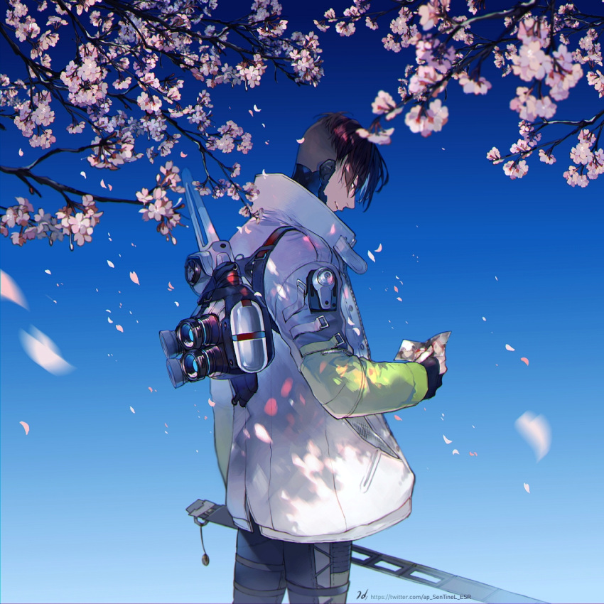 1boy, apex_legends, biwon_blade, black_hair, black_pants, brown_eyes, cherry_blossoms, crypto_(apex_legends), flower, highres, holding, holding_photo, holding_sword, holding_weapon, jacket, looking_down, male_focus, mila_alexander, mystik_(apex_legends), pants, petals, photo_(object), pink_flower, sentinel_ga_koku_ni_aru, sky, smile, solo, sword, weapon, white_jacket