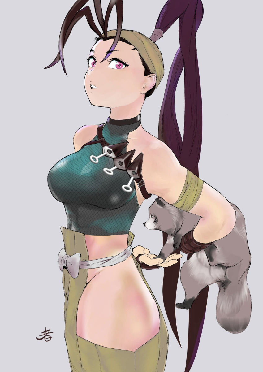 1girl, alternate_costume, alternate_eye_color, antenna_hair, black_hair, breasts, cowboy_shot, don_(street_fighter)