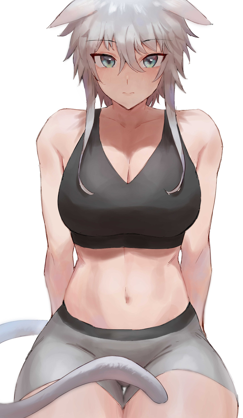 1girl, absurdres, animal_ears, arms_behind_back, bangs, blue_eyes, breasts, cat_tail