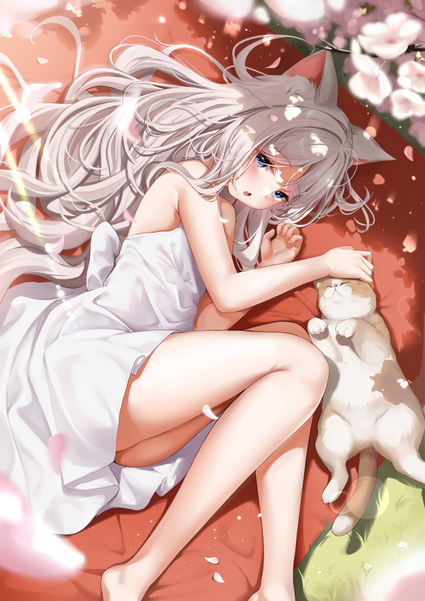 1girl, animal_ears, bangs, bare_shoulders, barefoot, blue_eyes, blush, cat