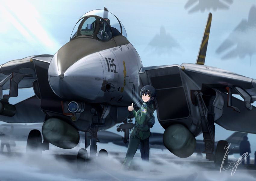 1girl, aircraft, airplane, aviator_sunglasses, clouds, emblem, f-14_tomcat, fighter_jet