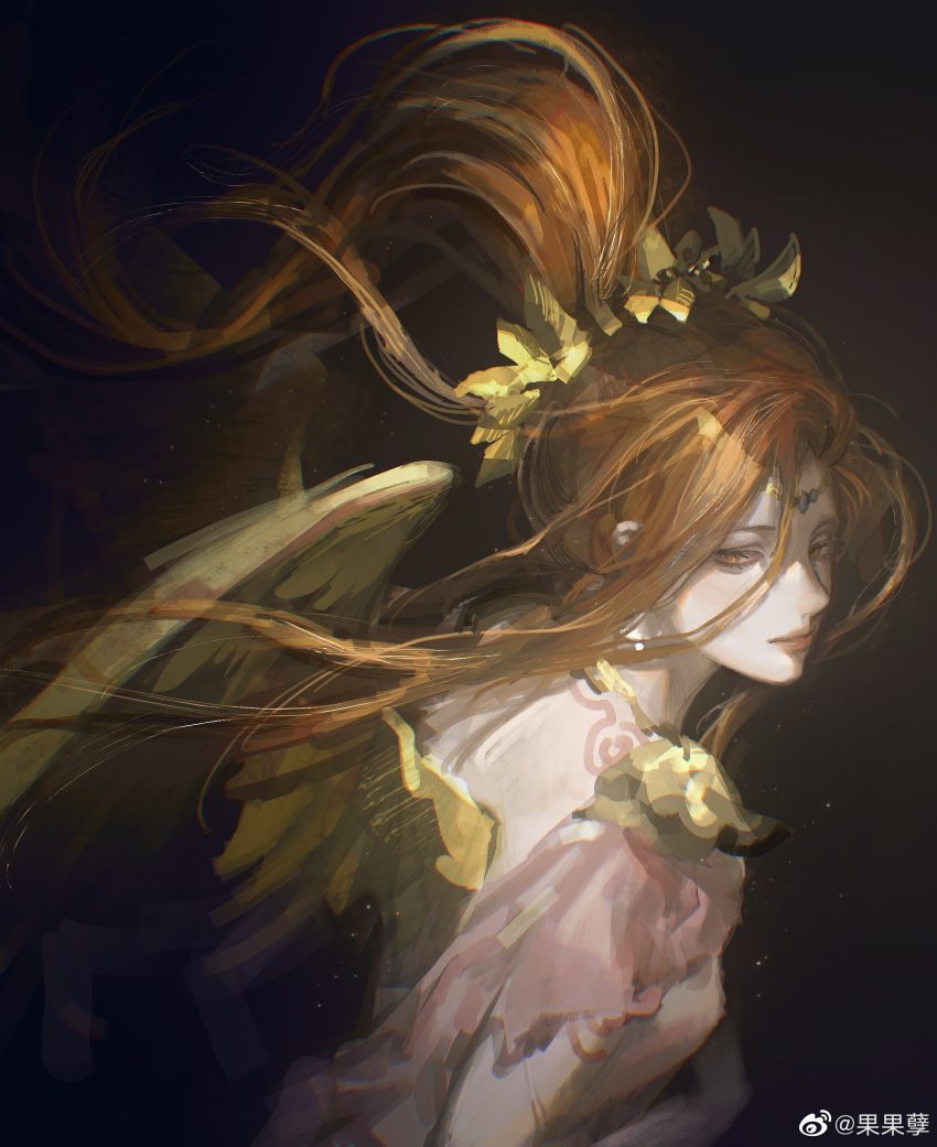 1girl, absurdres, azeyma, cacanep, chinese_commentary, circlet, commentary_request, expressionless