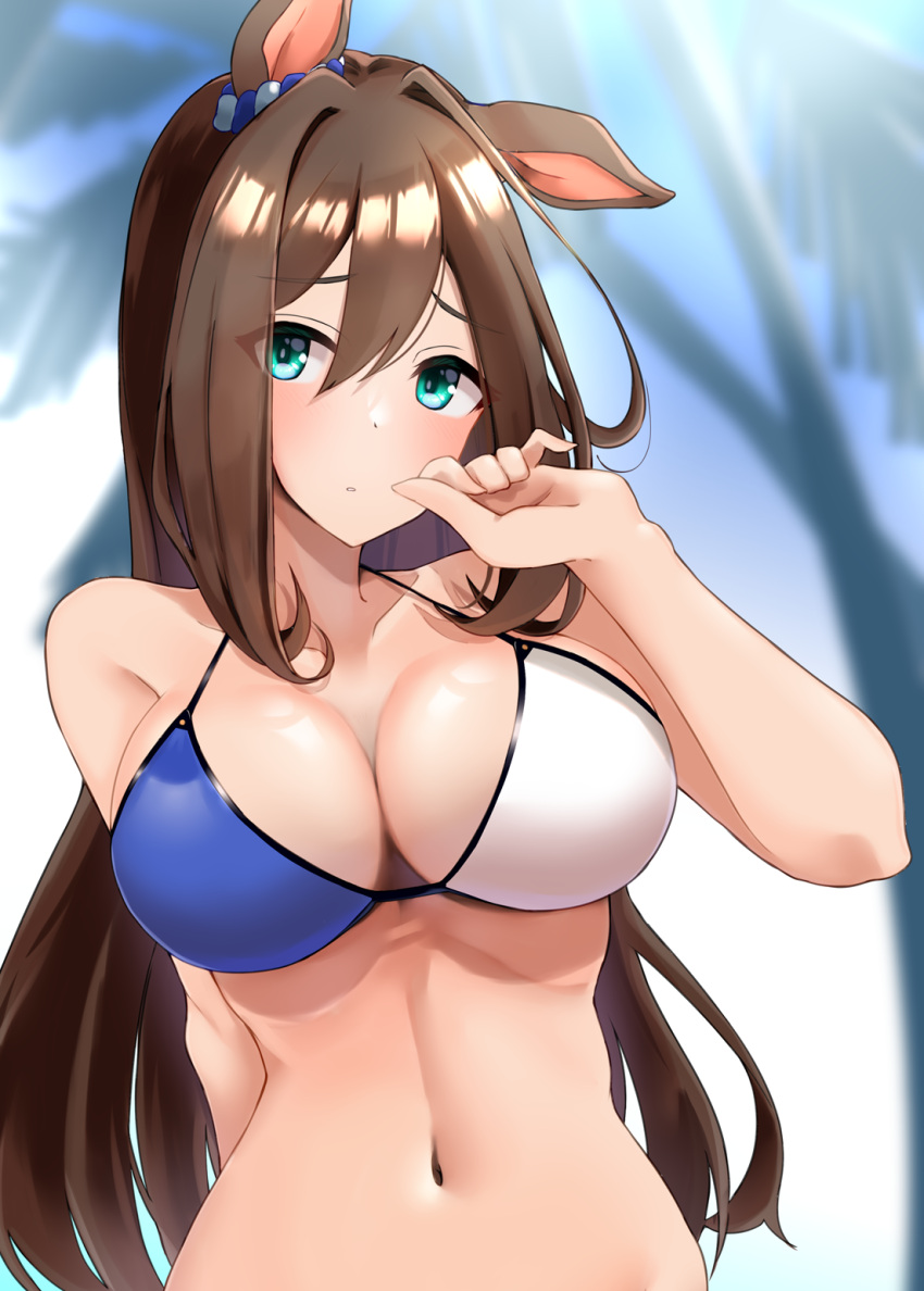 1girl, animal_ears, aqua_eyes, arm_behind_back, bare_shoulders, bikini, blue_bikini, blue_sky
