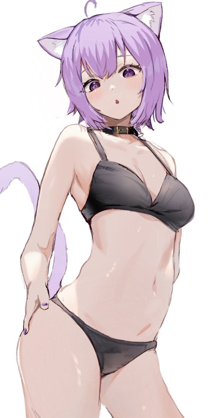 1girl, ahoge, animal_ear_fluff, animal_ears, bangs, black_bra, black_collar, black_panties