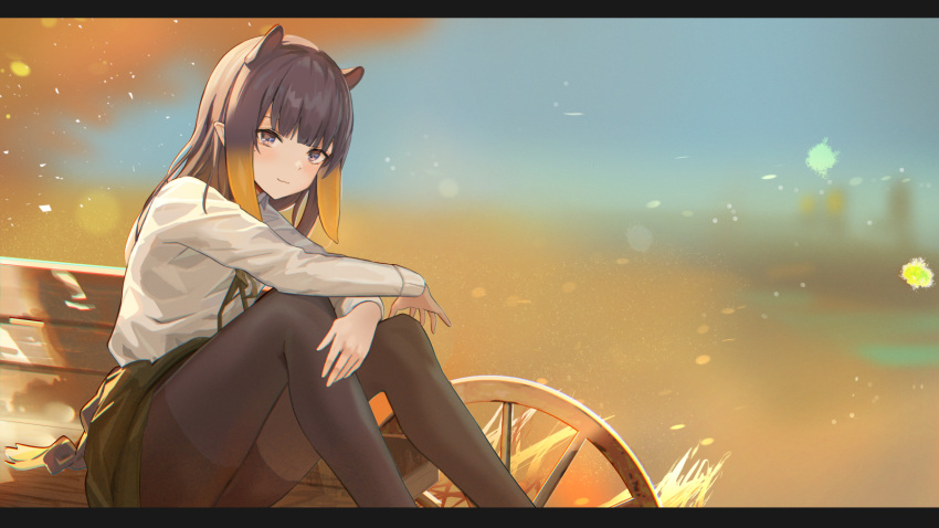 1girl, animal_ears, bangs, black_hair, black_legwear, blunt_bangs, blush, brown_eyes