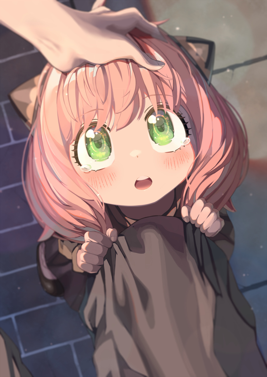 1girl, :o, absurdres, anya_(spy_x_family), blush, brown_pants, child, double_bun