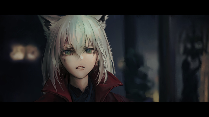 absurdres, animal_ears, aqua_eyes, braid, cosplay, doctor_strange, doctor_strange_(cosplay), doctor_strange_(series)