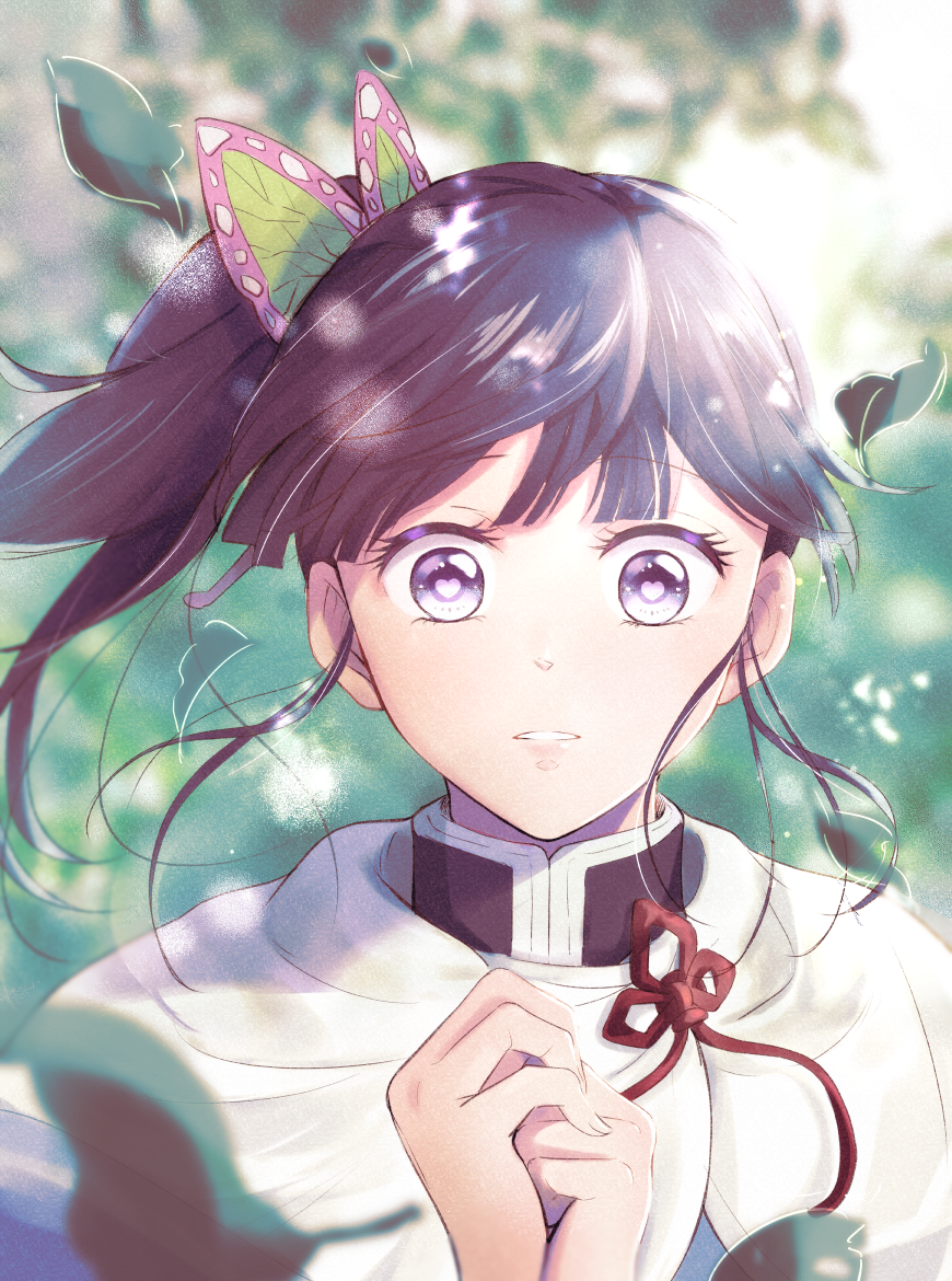 1girl, bangs, black_hair, blunt_bangs, butterfly_hair_ornament, demon_slayer_uniform, eyebrows_visible_through_hair, hair_ornament