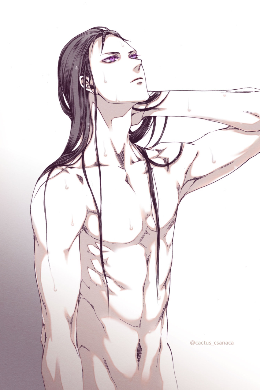 1boy, arm_at_side, arm_behind_head, black_hair, closed_mouth, completely_nude, csanaca, hand_in_own_hair